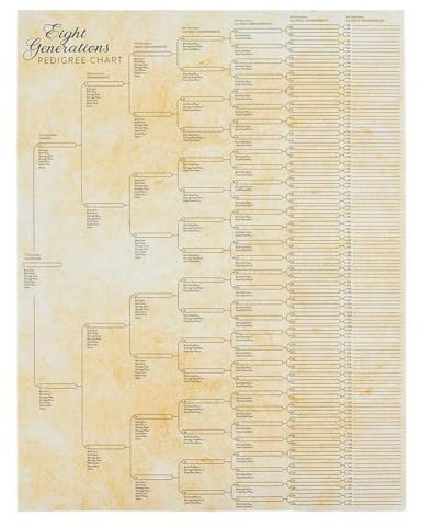 Stammbaum-Diagramm zum Ausfüllen, kompakte Ahnentafel der 8. Generation, leeres Ahnentabelle, zum Aufbauen von Jo zum Ausfüllen, Ahnentafel
