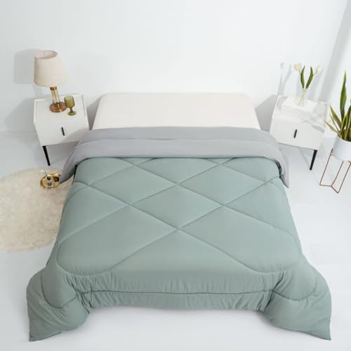 BESCH Relleno de Edredón Color Verde para Invierno Nórdico de Microfibra 400gr/m² 220x220cm para Cama de 135 - Edredónes Suave, Cálido, Gruesa