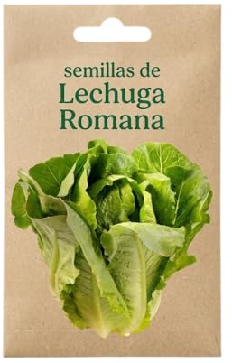Lechuga Romana para Cultivar en Maceta | Semillas DECOALIVE para Ensaladas Frescas