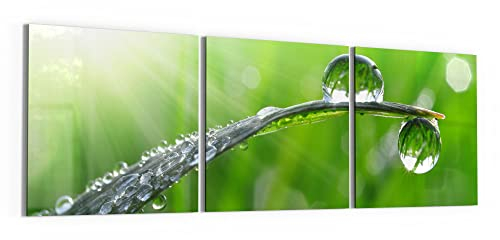 DEQORI Glasbilder Echtglas | Motiv Tautropfen am Morgen | horizontal 3-teilig 150x50 cm | große XXL Deko | Wandbilder für Wohnzimmer, Schlafzimmer, Flur & Küche | moderne Wanddeko