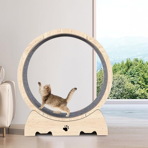 Opetdo Laufrad für Katzen, 93x 40x104cm Laufband für Katzen, Super Leises Haustier Katze Laufrad Spielzeug, Fitnessgerät zur Gewichtsabnahme, Sportspielzeug für Katzen, für EIN längeres Leben der Katz