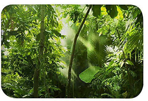 A.Monamour Antideslizante Absorbente Alfombra de Baño Sol Brillante A Través De Árboles Tropicales Verdes Paisaje De La Naturaleza De La Selva Mullido Franela Alfombrilla Tapete Moqueta para Baño