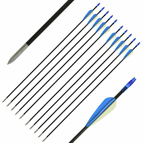 10x Fibreglass Archery Arrows Compound Recurve Lightweight Field Point Target Practice Blue & White Vanes 26 28 30 (10x 26 Arrows)