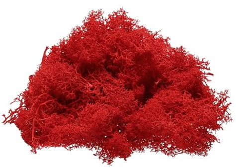 QUARKZMAN Musgo de Reno Preservado 4 OZ Musgo Artificial para Manualidades Musgo Seco Artificial para Decoración Manualidades Terrarios Plantas en Maceta Centros de Mesa (Rojo)