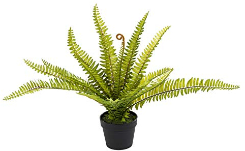 mucplants Künstlicher Farn im schwarzen Topf Höhe ca. 30cm Kunstfarn Rippenfarn Kunstpflanzen Zimmerpflanze