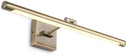 Joosenhouse Modern LED Picture Lights Dimmable 24.4 Inch Antique Bronze Picture Lighting for Paintings Swing Arm with Rotatable Sconces Wall Lamp, 14W (70W Eqv.), Hardwired Connection,Warm White