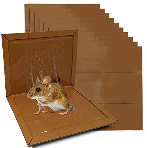 Repulseo® Trappola Adesiva per Topi e Ratti, Grande Trappola per Topi, Tavoletta di Colla per Topi Grandi, Trappola Collante per Roditori, Colla Aromatizzata Extra Forte (10 Piastre Adesive)