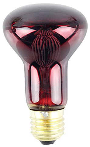 Infrarossi lampadina R63 60 W faretto Basking lampada di calore