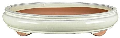 Ovale Bonsaischale aus elfenbeinweiss glasiertem Steingut 41x32x5,5 cm - J023a