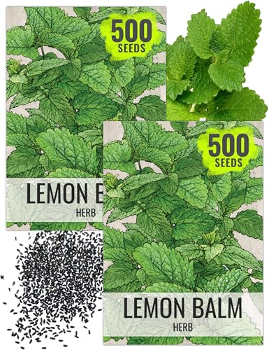 Seed Needs Lemon Balm Seeds for Planting - Non-GMO, Heirloom & Untreated Perennial Medicinal Herb - Plant Indoors/Outdoors Used for Making Calming Tea (2 Packs)