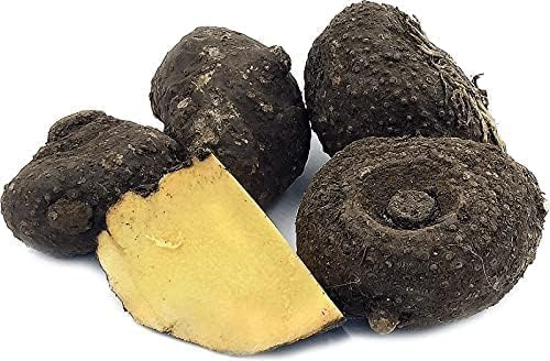 MM Suran | Jimikand | Elephant Foot yam Extracts Powder-100 Gram Pack