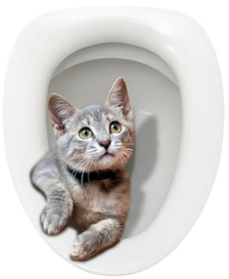 DEARMAMY Autocollant Toilette 3D Chat Autocollant De Couverture De Siège De Toilette Amovible Décalcomanie De Salle De Bain Auto-Adhésive Pour Porte Vitree Mur Carrelé 13.78X11.81in