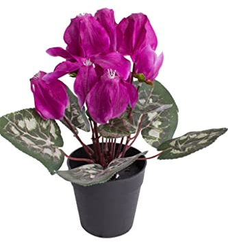 Botanic-Haus künstliches Alpenveilchen (Cyclamen) im schwarzen Kunststofftopf (Beauty)