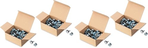 DIGITUS DN-19 SET-S - Vis M6 & écrous cage - Jeu de 100 pièces - Vis de montage pour armoire serveur, rack AV, armoire réseau 19 pouces / 10 pouces - Kit de montage - Argenté (Lot de 2)