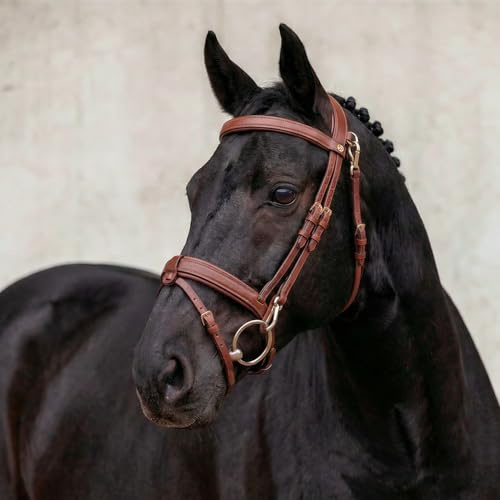 SUNRIDE Englisch kombinierte Trense für Pferde (Berlin) - mit Zügeln - weiches Echtleder - extra Polsterung - anatomisch, verstellbar - Click&Ride - handgefertigt - rostfrei (Cognac, Pony)
