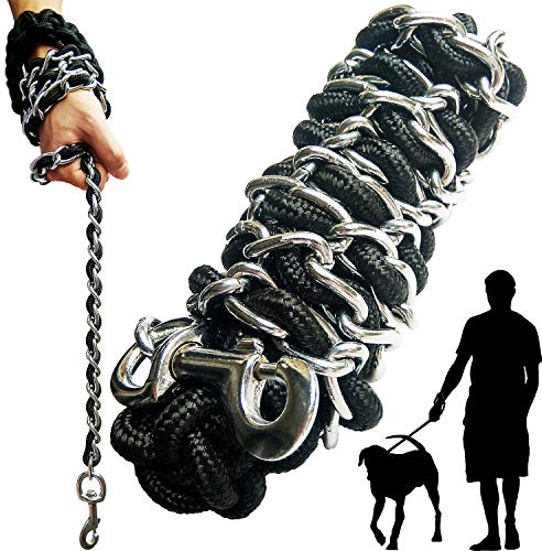 Hundeleine, Kette, Metall, Hundeseil, Haustierhalsband-Set, stark, strapazierfähig, Anti-Bissschutz, 360-Grad-Haken, für mittelgroße und große Hunde, Training, Spaziergänge (Silber, XL)