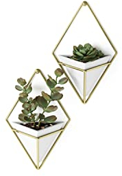 Umbra Trigg Wandvase & Geometrische Deko - Übertopf Für Zimmerpflanzen, Sukkulenten, Luftpflanzen, Kakteen, Kunstpflanzen und Mehr, Weiss/Messing, 2er-Set, Klein