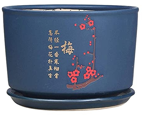 Extra großer Keramik-Blumentopf mit Tablett, personalisierter Sukkulenten-Blumentopf, chinesischer Keramik-Topf, Bonsai-Topf, Kaktus-Container, Garten-Pflanzgefäß, kreative grüne Pflanze, Desktop-T