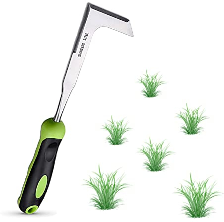 Ruikdly Fugenkratzer Edelstahl Unkrautstecher mit Stiel 33 cm Unkrautkratzer Fugen Unkrautstecher Fugenkratzer Garten Unkrautmesser zum Graben, Jäten, Lösen