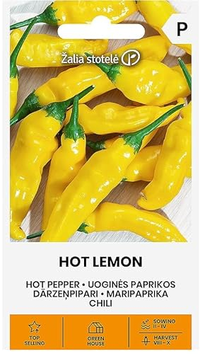 Zalia stotele | Chili - Hot lemon samen | Gemüsesamen | Pflanze samen | Chilisamen | Eine ertragreiche, buschige Chilisorte | Für den Anbau in Töpfen geeignet | 1 Pack