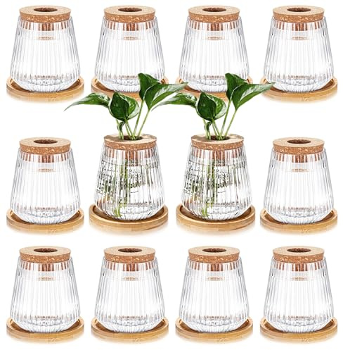 Baderke 12 Packs Propagation Vases for Plants Plastic Plant Propagation with Hole Lid and Bamboo Stand Growing in Water Hydroponic Home Office Desktop Vase Decoration