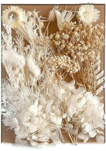 Fiori secchi fiore per fai da te, bouquet in resina epossidica, erba vela secco, accessori per scrapbook fatti a mano, decorazione per la casa, matrimonio