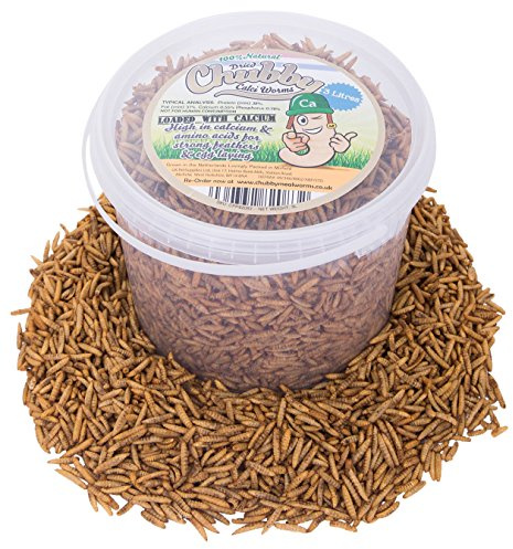 Chubby Mealworms Dried Calci Worms for Hedgehog (3 Litre), Calciworms Treats with More Calcium than Meal Worms, Dried Black Soldier Fly Larvae Food for Wild Life