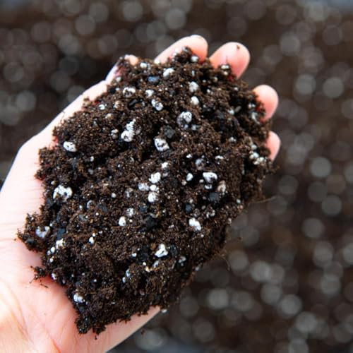 Advanced Farming organic soil for indoor and outdoor plants (1) (1Ltr)