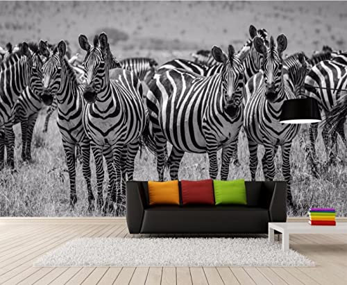Tapete Minimalistisches Retro-Schwarz-Weiß-Zebra-Wandbild TV-Hintergrund Wohnzimmer Schlafzimmer 3D-Tapete TV Wandbild Tapete Wanddekoration fototapete 3d Vlies wandbild Schlafzimmer-300cm×210cm