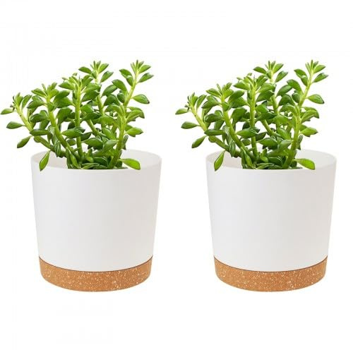 Kioiner 2 Piezas Macetas para Flores, Macetas para Plantas de Interior, Macetero de Plástico con Agujeros de Drenaje y Platillo, 11 cm, para Interior y Oficina (Blanco)