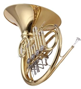 Professionelles BB-Waldhorninstrument Mit Vier Klappen Und Edelstahlkolben Waldhorn Für Anfänger