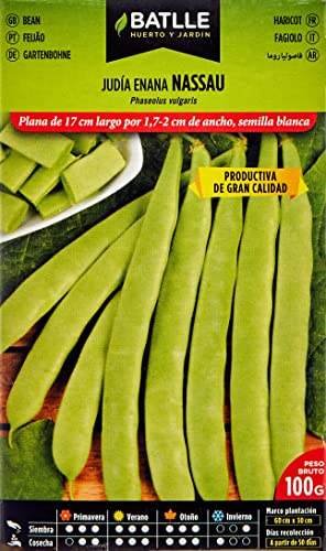 Semi Battle – Fagiolo Enana