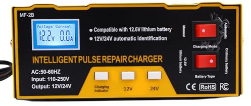 Generic Caricabatteria per Auto Caricabatterie di Mantenimento Automatico Intelligente 180 W per SUV Moto - Acciaio Inossidabile (Spina europea)