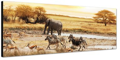 Augenblicke Wandbilder Keilrahmenbild Wandbild 150x50cm Afrika Safari Zebras Elefant Landschaft