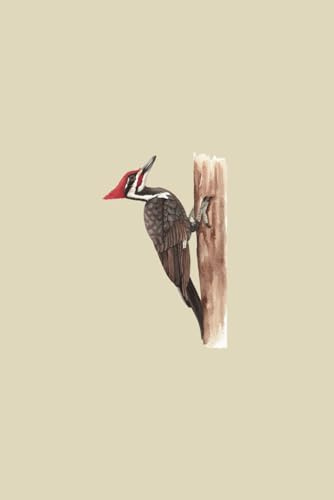 Pileated Woodpecker: 6 x 9, 120 Pages, Lined, Writing Journal