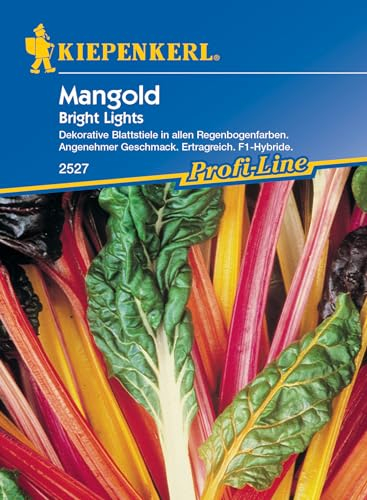 Kiepenkerl Mangold Bright Lights Samen - Dekorative Blattstiele in Regenbogenfarben - Winterharte Gemüsesamen mit Leuchtenden Farben - Geeignet für Gartenbeete und Schalen - 1 Portion Saatgut