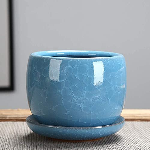 GImLY Jelly Purple Sand Sukkulenten-Blumen-Grünpflanzen-Pflanzgefäß Ice Cracked Glassed Ceramic Flower Pot Indoor Outdoor Planters Home and Office Decor Ceramic Succulent Plants Pot