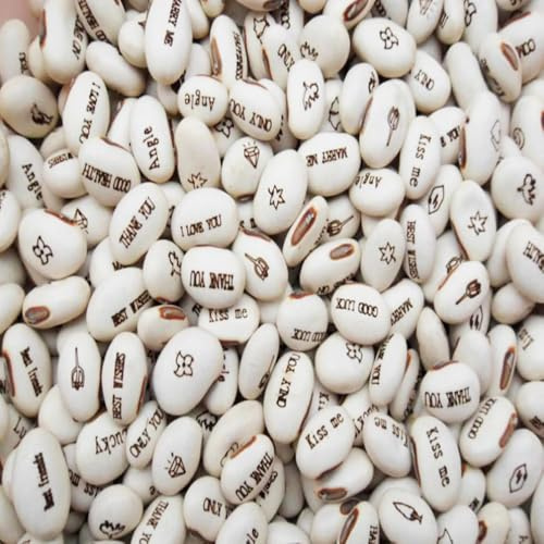 ZauberbohnenSamen、pflanztöpfe hängepflanze、winterharte kübelPflanzenhängePflanzeecht innen、deko garten bonsaiSamen150pcs