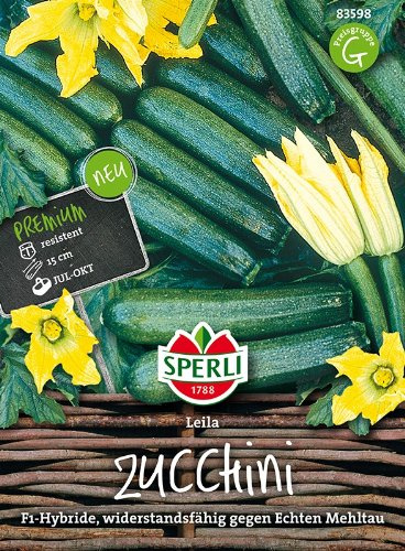 Sperli-Samen Zucchini Leila F1