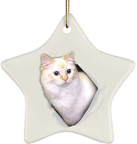 Christbaumschmuck Mit Hanfseil Weihnachtsanhänger Keramik Weihnachten Deko Lustige Ragdoll-Katze In Roter Creme, Die Aus Einer Rissigen Wand Kommt