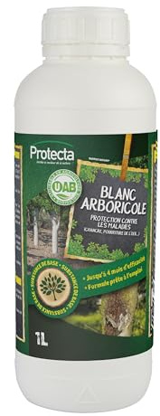 Protecta Blanc Arboricole prêt à l’Emploi/concentré, prévention des Maladies fongiques. Utilisable en Agriculture Biologique.Protège Les Troncs des Arbres fruitiers et d’Ornement