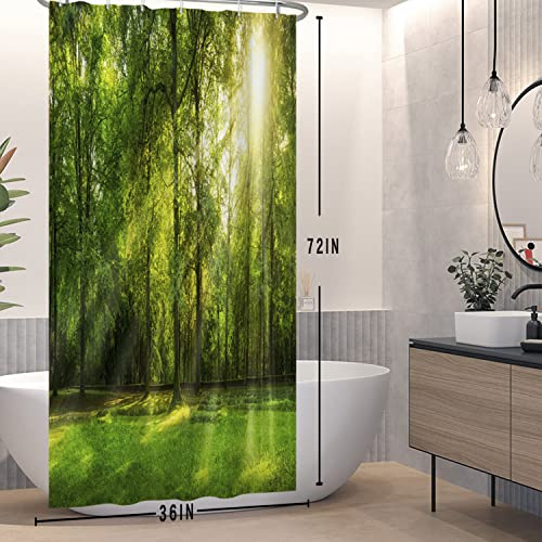 SDOTPMT 90x180cm Grüner Wald Duschvorhang Gerade Hohe Bäume Sonnenschein Attraktive Natur Landschaft Badewanne Vorhang Frühling Landschaft Bad Vorhang im Freien für Badezimmer Dekor mit Haken