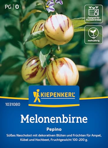 Kiepenkerl PepinoSamen Melonenbirne 1031080, Rasensaat | Dekorative Blüten und Früchte, ertragreich, mehrjährig, für Freiland, Topf & Balkon