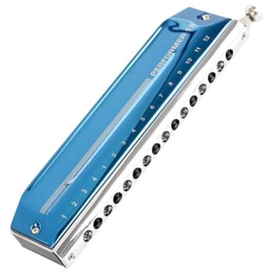 Mundharmonika Professionelle Professionelle Abdeckung Und Verpackung Für Chromatische Mundharmonika Blaue Farbe 16 Löcher