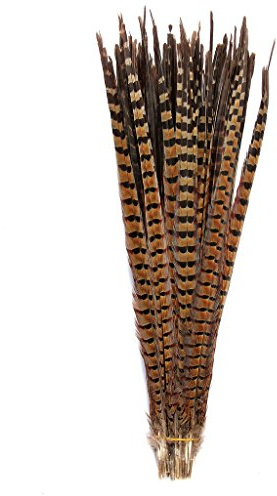 Pheasant Tails Feathers,Hgshow 10Pcs Plume Products Assorted Natural Feathers,About 20-22 inches,50-55cm Long