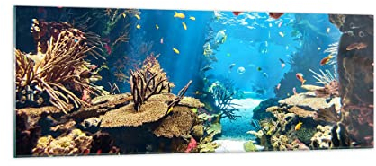 Moderne Impression sur Verre Océan Récif Poissons Corail Image Tableau en Verre Decoration Murale 140x50cm Deco Cadre Salon Chambre Panoramique Grand XXL Tableaux Decoratifs Muraux Art GAB140x50-2872