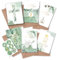 Papierdrachen 6 Glückwunschkarten für christliche Feste wie Taufe, Kommunion, Konfirmation, Firmung - Motiv Eukalyptus - Klappkarten mit Umschlag und passenden Stickern- DIN A6 - Set 1