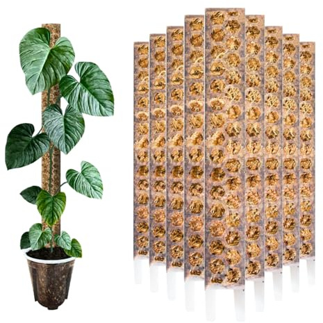 Nils der Pflanzenfreund® Mosspåle 30 cm (S) 3-pack, Matt – Moss Pole, utbyggbart växtstöd för Monstera & klätterväxter, växtpinne för inomhusväxter