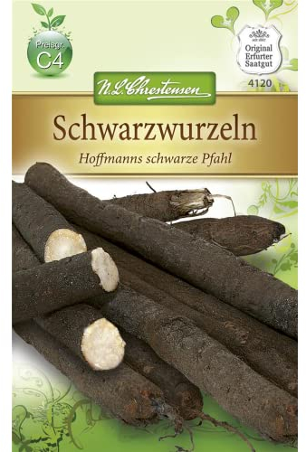 Chrestensen Schwarzwurzeln 'Hoffmanns schwarze Pfahl'