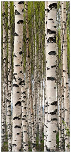 Wallario Selbstklebende Türtapete Birkenwald - Baumstämme in schwarz weiß - Türposter 93 x 205 cm Abwischbar, rückstandsfrei zu entfernen
